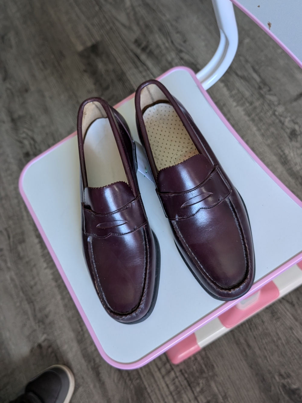 Men's Classic Penny Loafers in Burgundy